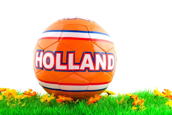 네덜란드 축구 — 스톡 사진