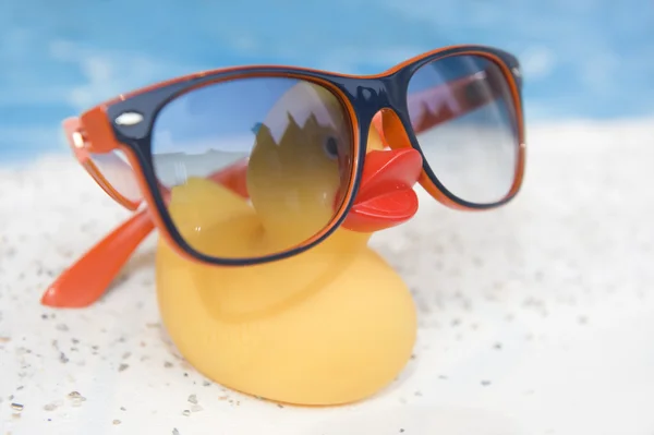 Vacation duck — Stock Photo, Image