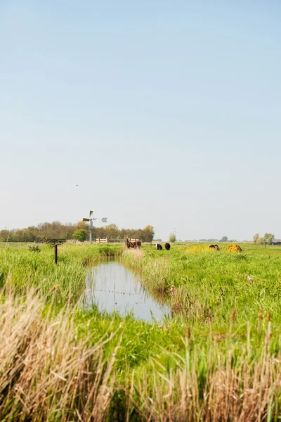 Vodní mlýn ve svislém holandské krajiny — Stock fotografie