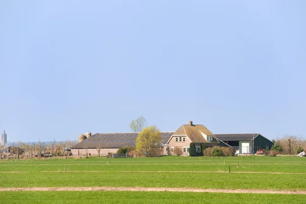 Nederlandse boerderij — Stockfoto