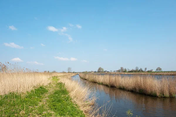 オランダの川 — ストック写真