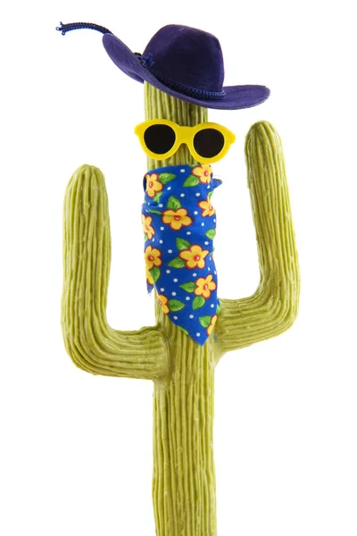 Cactus selvaggio ovest divertente — Foto Stock