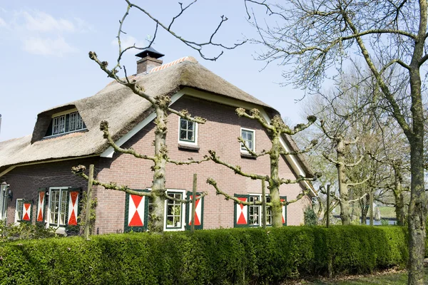 Casa de campo holandesa típica — Foto de Stock