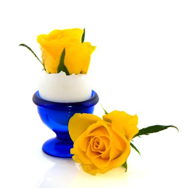 Yellow roses clipart