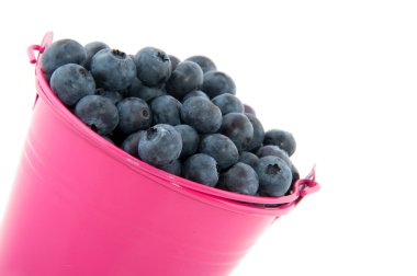 Bucket blueberries clipart