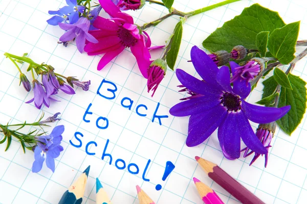 Volver a la escuela con flores — Foto de Stock