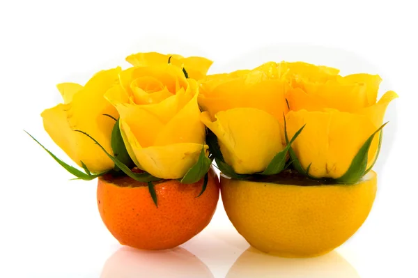 柠檬和橘 — 图库照片