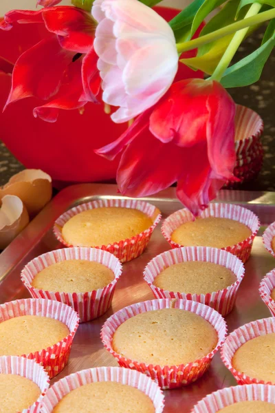 Baking cup cakes — Stock Photo, Image