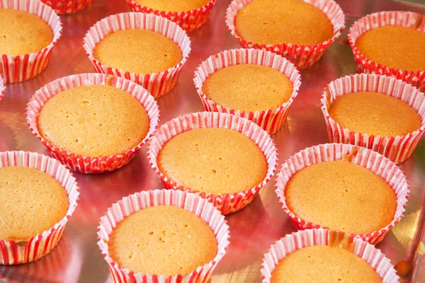 Baking cup cakes — Stock Photo, Image