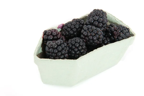 Blackberries in carton — Stock Photo, Image