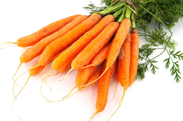 Pęczek marchewki — Zdjęcie stockowe