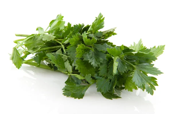 Fresh celery — Stock Photo, Image