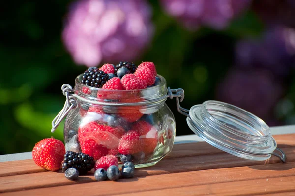 Forest fruit outdoor — Stock Photo, Image