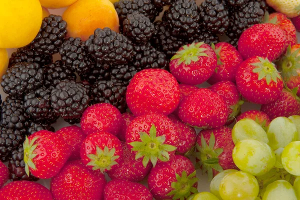 과일 다양성 — 스톡 사진