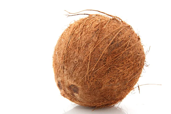 stock image Coconut