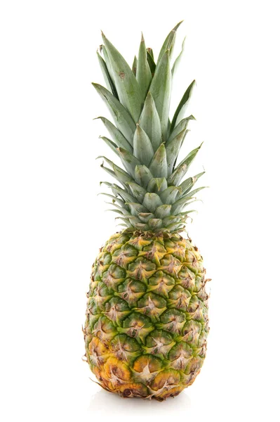 Tropiska ananas — Stockfoto