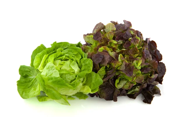 Lettuce assortment — Stock Photo, Image