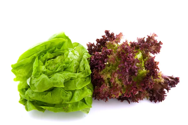 Lollo rosso ve ekmeğiiçine salatası — Stok fotoğraf