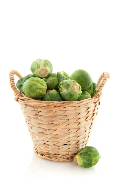 바구니에 콩나물 — 스톡 사진