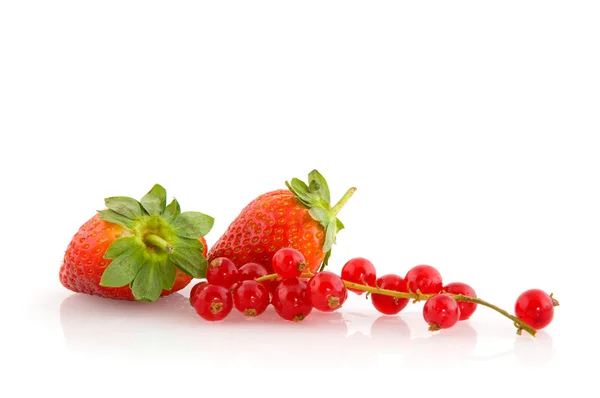 Frutas suculentas — Fotografia de Stock