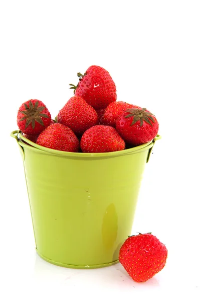 딸기와 양동이 — 스톡 사진