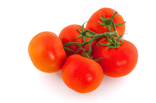 Pomodori grappolo — Foto Stock