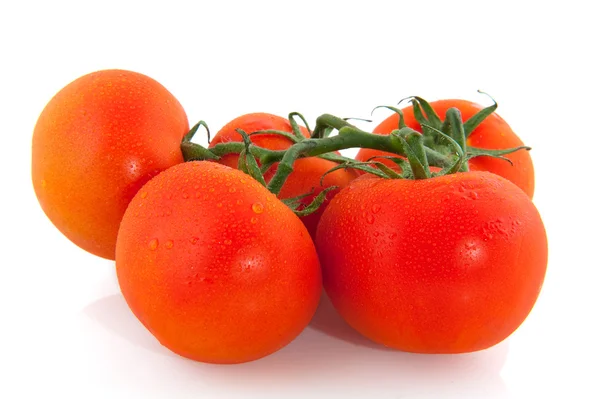 Bunch tomatoes — Stock Photo, Image