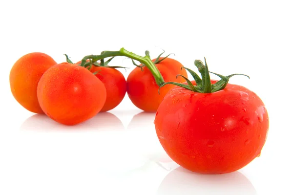 Parta rajčata — Stock fotografie