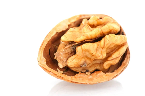 Открытый грецкий орех — стоковое фото