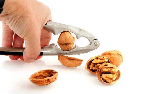Cracking the whole walnut — Stock Photo, Image