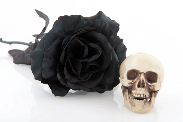 Rosa negra de Halloween —  Fotos de Stock