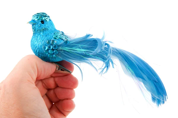Blue Christmas bird — Stock Photo, Image