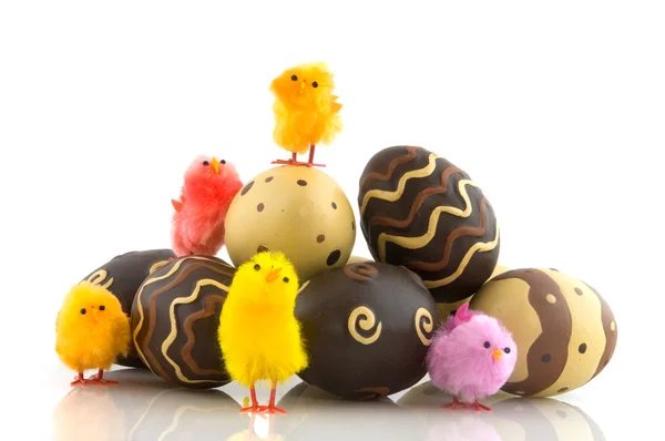 Chocolate easter eggs with chicks — Stock Photo, Image