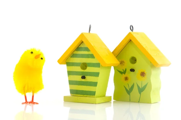 Easter chicks with bird houses — Stock Photo, Image