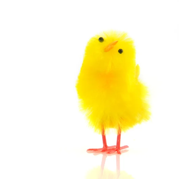 复活节小鸡 — 图库照片