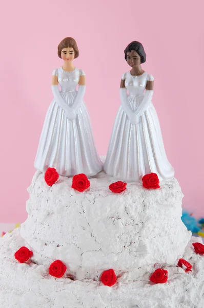 Pasangan Lesbianwedding — Stok Foto
