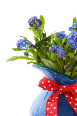 Forget-me-not clipart