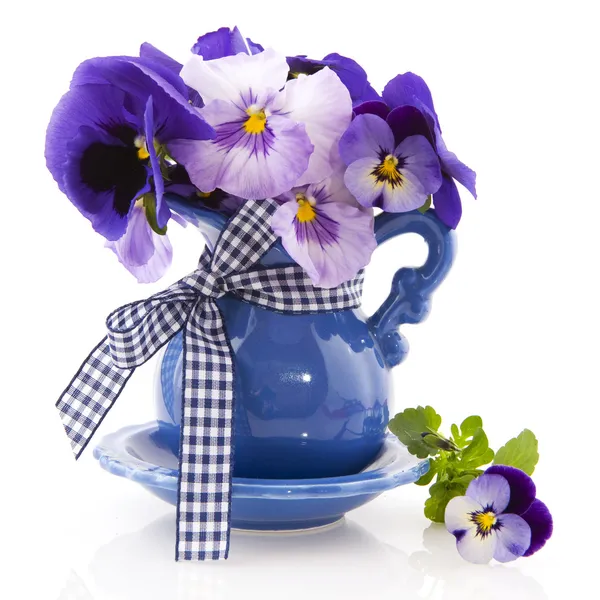 Blue little vase pansies — Stock Photo, Image