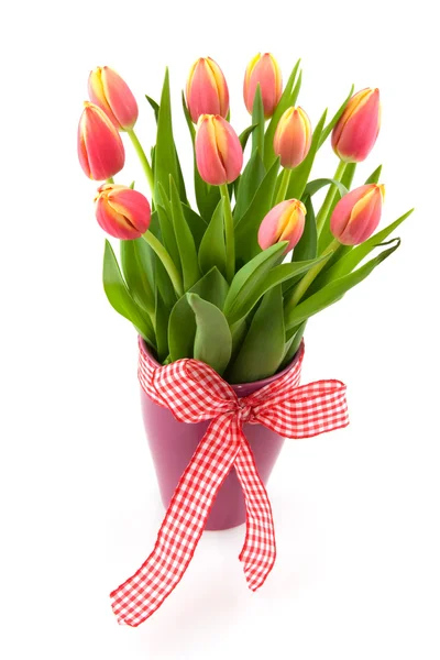 Tulp bloemen in vaas — Stok fotoğraf