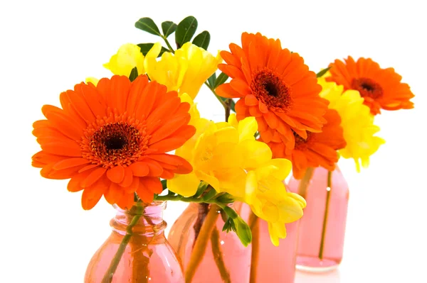 Färgglada blommor i glas vaser — Stockfoto