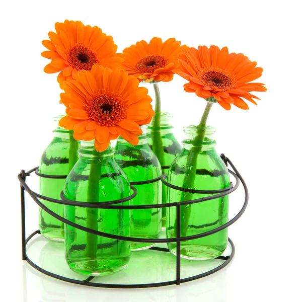 Fiori colorati in vasi di vetro — Foto Stock
