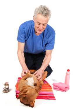 Relaxing dog becoming Spa treatment clipart