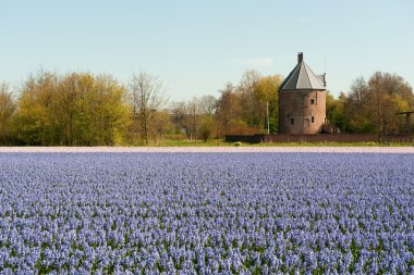 Dutch landscape clipart
