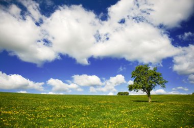 Grass fields with clouds in the sky clipart
