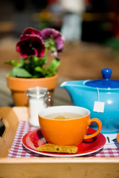 Drinking tea outdoor — Stock Photo, Image