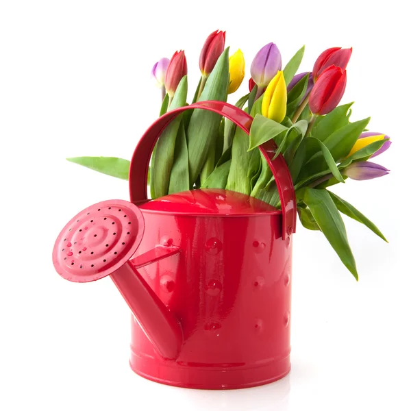 Decoratieve gieter met bloemen — Stockfoto