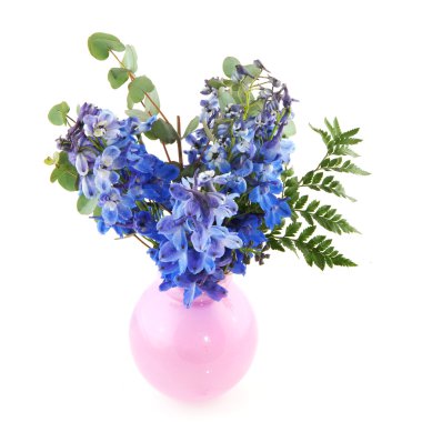 Blue Larkspur clipart