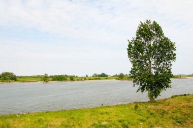 Dutch river landscape clipart