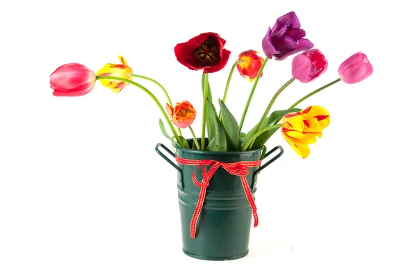 Florero con tulipanes coloridos —  Fotos de Stock