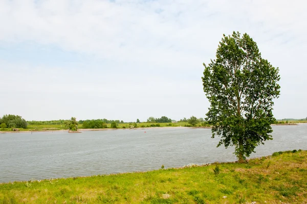 Paisaje fluvial holandés — Foto de Stock